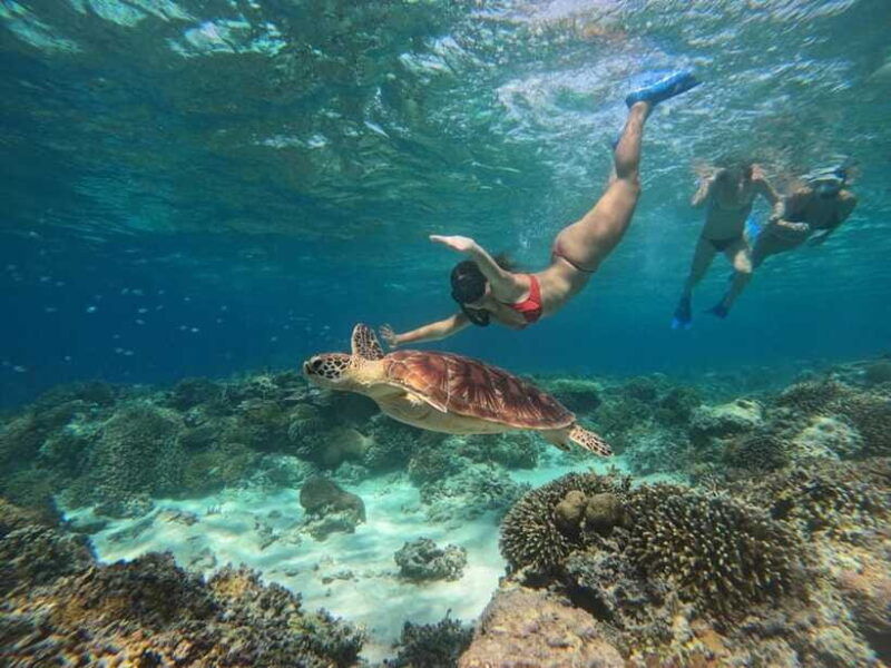 3-islands-snorkeling-with-glass-bottom-boat-gopro-shoot