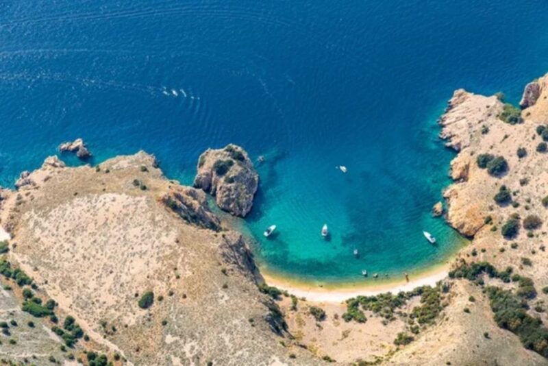 35h-wild-bays-swim-snorkel-with-capt-bobo-public