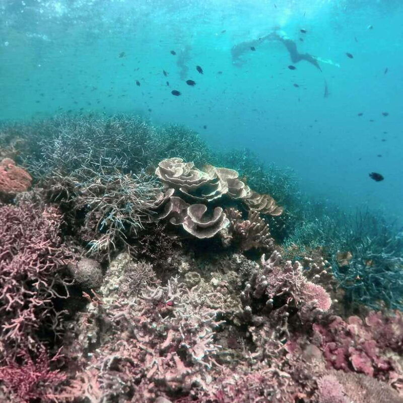3days-and-2nights-snorkel-islands-hopping-expedition