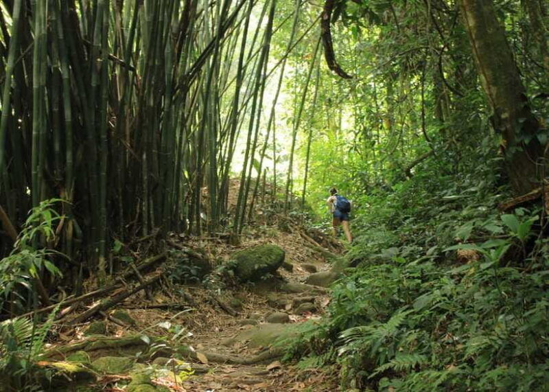 4-day-adventure-tour-colombo-to-sinharaja-ella-beyond