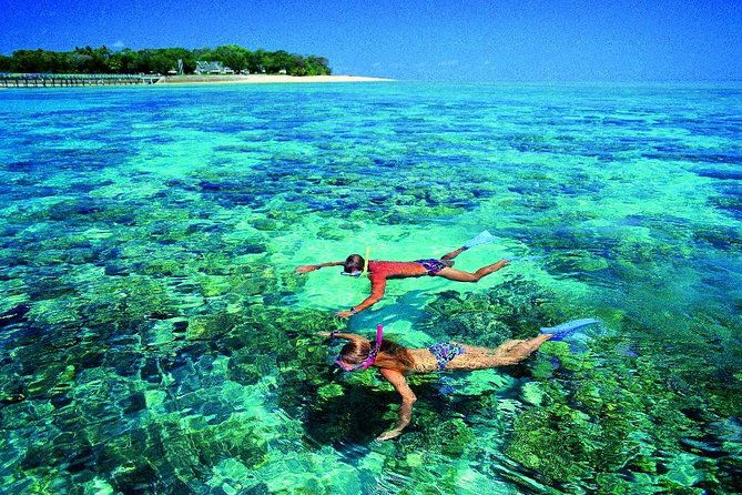 4-Day Cairns with Great Barrier Reef and Daintree Rainforest - Final Thoughts: Is This Tour Worth It?