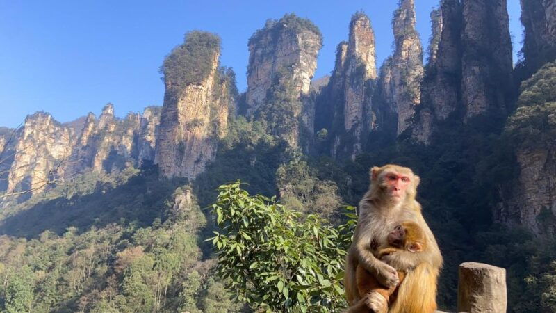 4-day-highlights-of-zhangjiajie-with-sunrise-experience