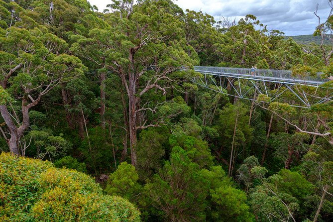 4 Day Tour: Albany, Margaret River, Valley of the Giants TreeTop Walk from Perth - Who Would Love This Tour?