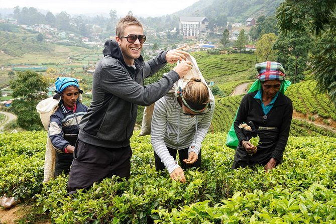 4 Days Tour To Kandy, Nuwara Eliya, Dambulla & Anuradhapura From Colombo - FAQ