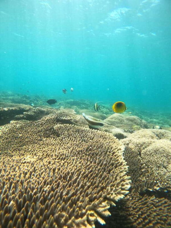 5-secret-gili-boat-trip-snorkeling-in-southwest-of-lombok
