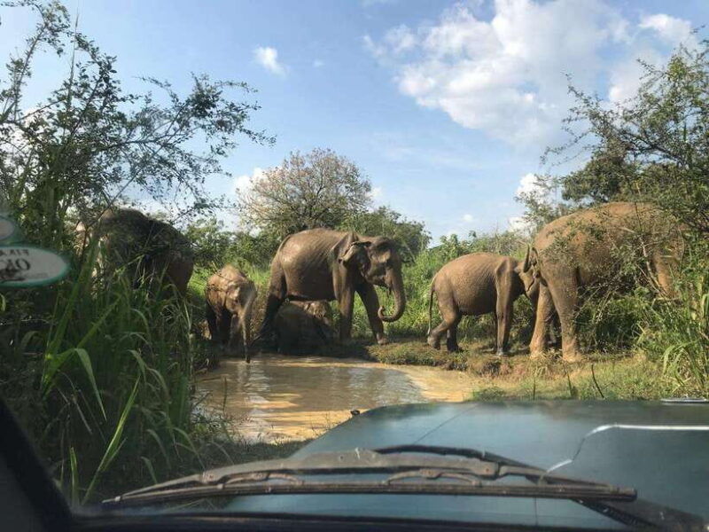 7-day-sri-lanka-round-tour-colombo-ella-kandy-sigiriya