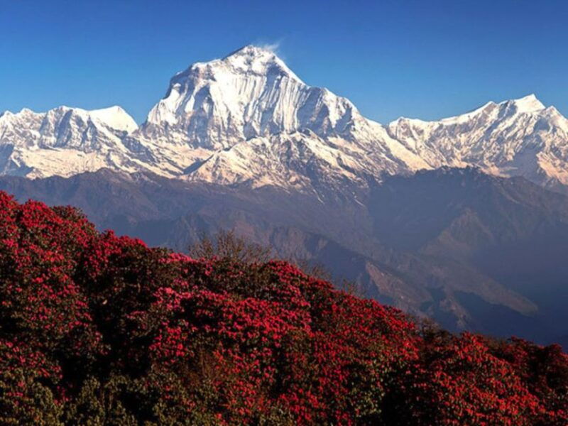 9-day-annapurna-base-camp-via-poon-hill
