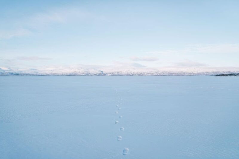 abisko-snowmobile-sled-expedition-with-snack-and-hot-drink
