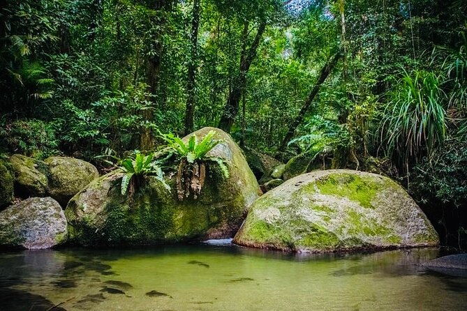 Affordable Return Mossman Gorge from Port Douglas Transfers - Final Verdict