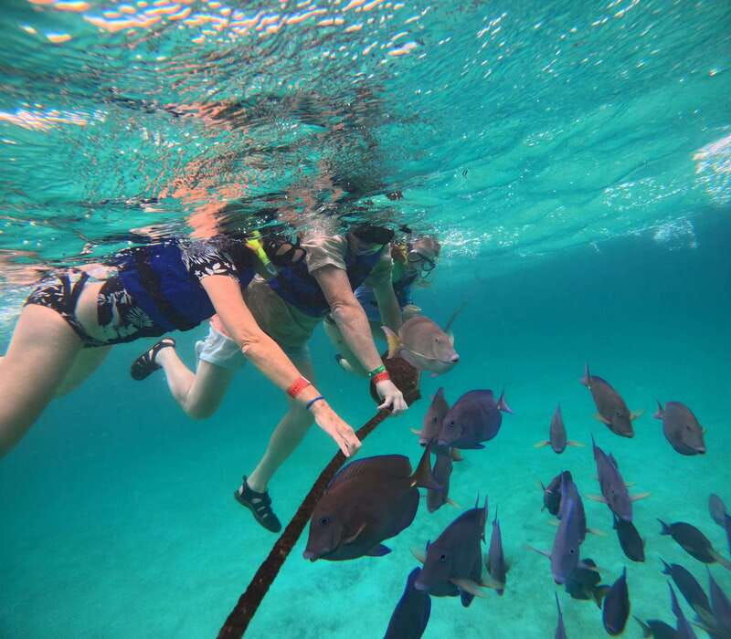 akumal-guided-snorkeling-with-sea-turtles