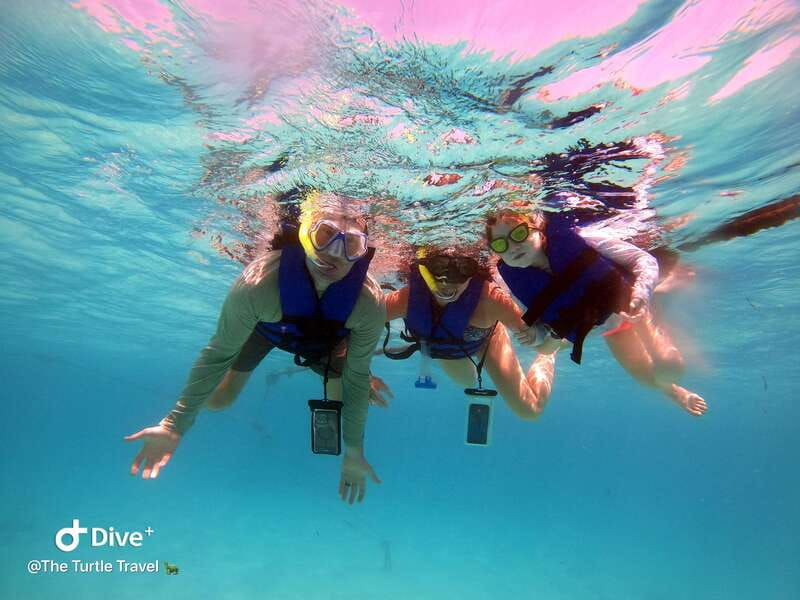 akumal-guided-turtle-snorkeling-tour-and-pictures
