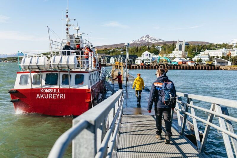 akureyri-3-hour-classic-whale-watching-tour-by-ship
