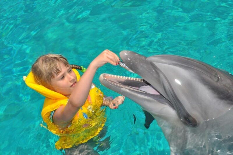 alanya-dolphin-and-seal-show-ticket-with-hotel-transfers