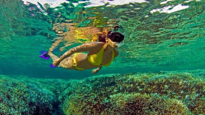 all-inclusive-trincomalee-pigeon-island-tour-snorkeling