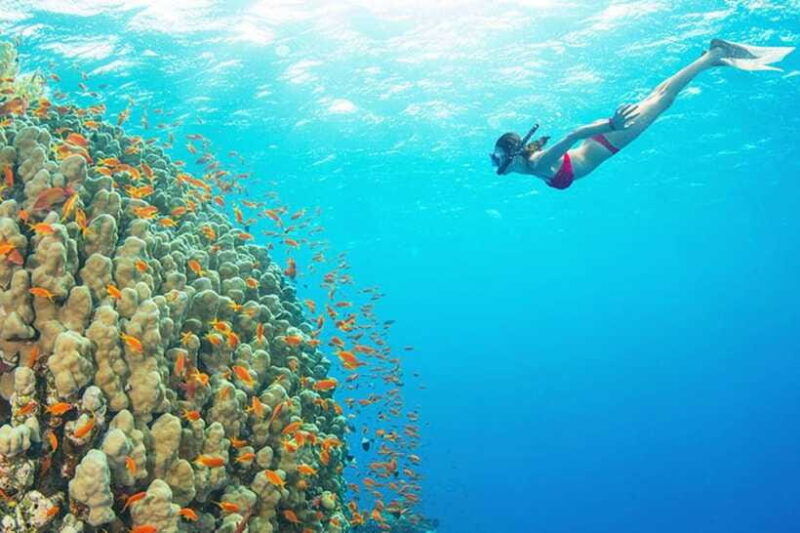 amed-snorkeling-tour-with-japanese-shipwreck-and-coral