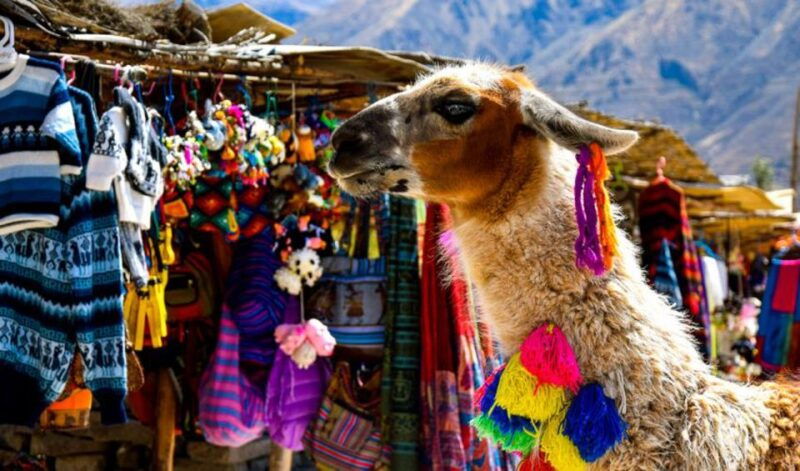 andes-colca-canyon-day-trip