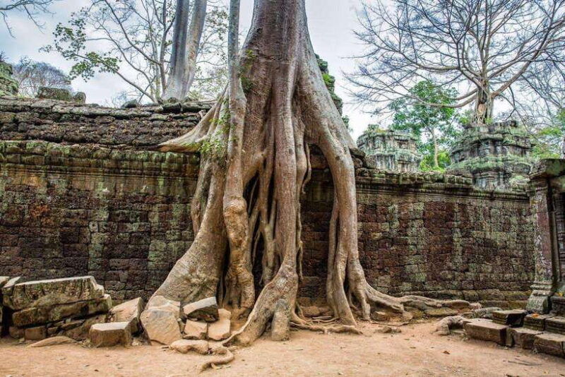 angkor-wat-small-tour-with-sunset-private-tuk-tuk