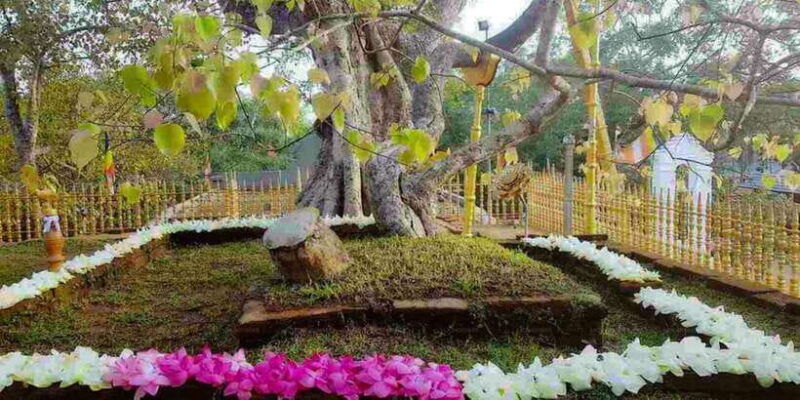 anuradhapura-aukana-private-day-tour-from-sigiriya