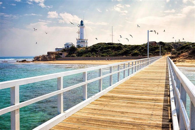 Around the Bay Sightseeing and Bay Cruise - Frequently Asked Questions
