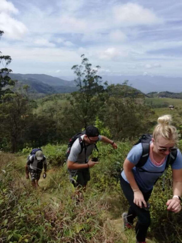 art-lanka-knuckles-trekking