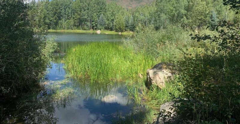 aspen-guided-light-hike-with-roaring-fork-river-views