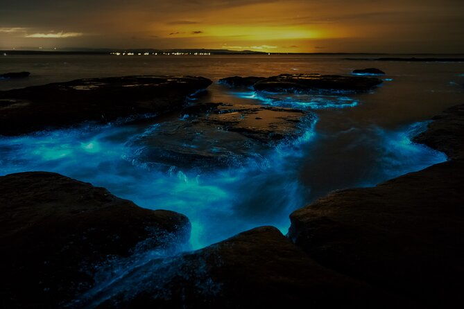Auckland Bioluminescence Kayak Tour - Authentic Experiences Highlighted by Reviewers