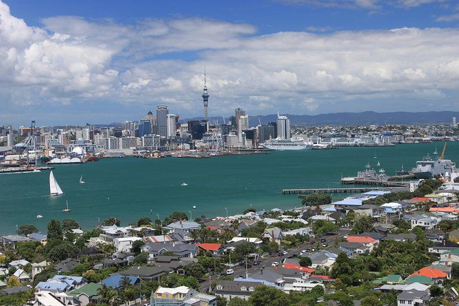 Auckland Private Tour including Airport Transfer - Final Thoughts