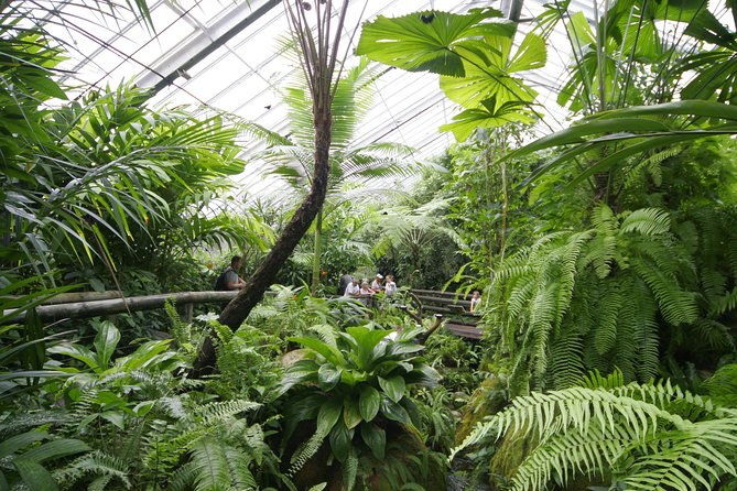 Australian Butterfly Sanctuary - Who Will Love This Tour?