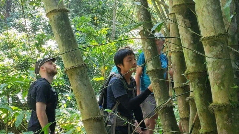 authentic-trek-only-walk-in-chiang-rai-jungle