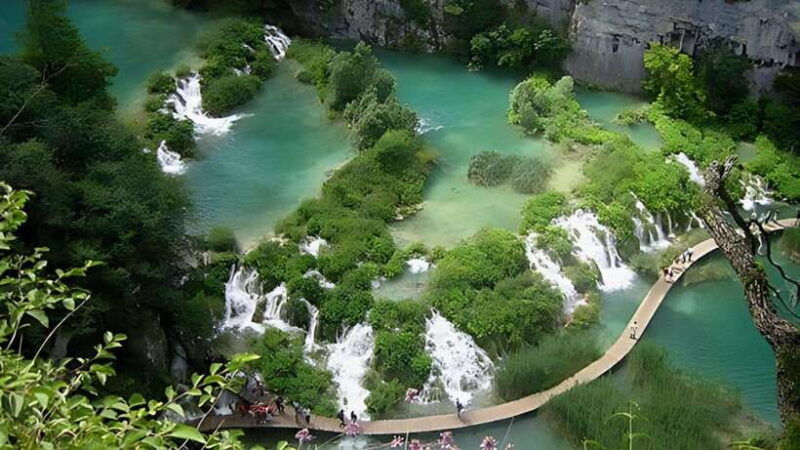 bach-ma-national-park-hiking-day-trip-with-pickup-from-hue