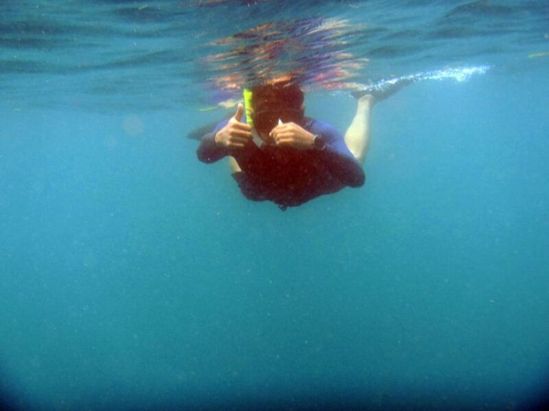 bali-1-hour-snorkeling-at-nusa-dua-beach