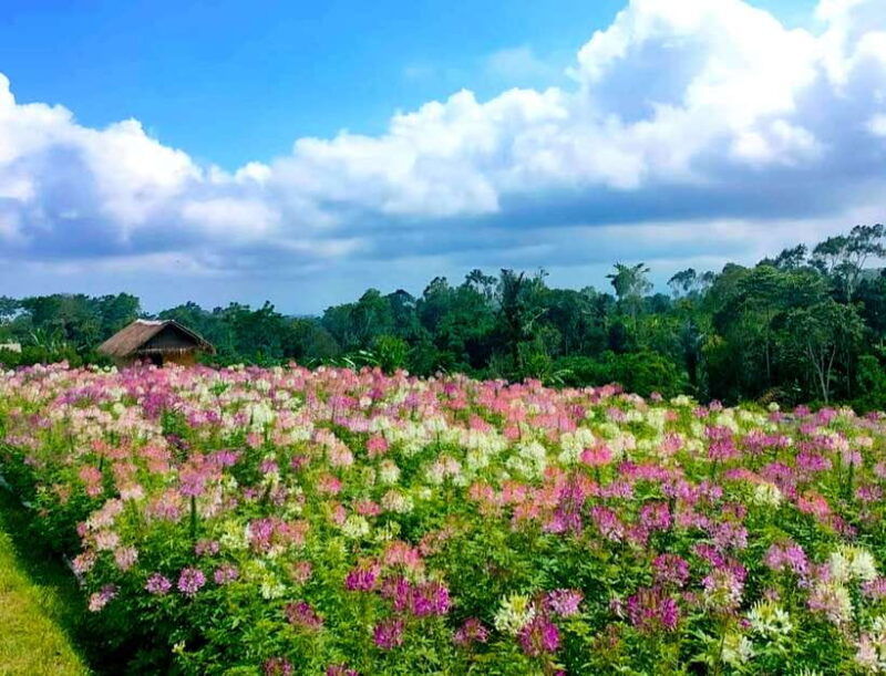 bali-agricultural-adventure-private-tour