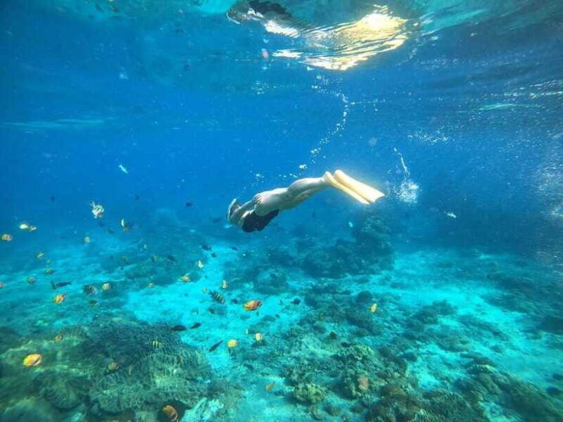 bali-blue-lagoon-snorkeling-with-meal