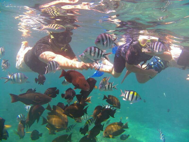 bali-highlights-snorkeling-to-blue-lagoon-with-local-expert