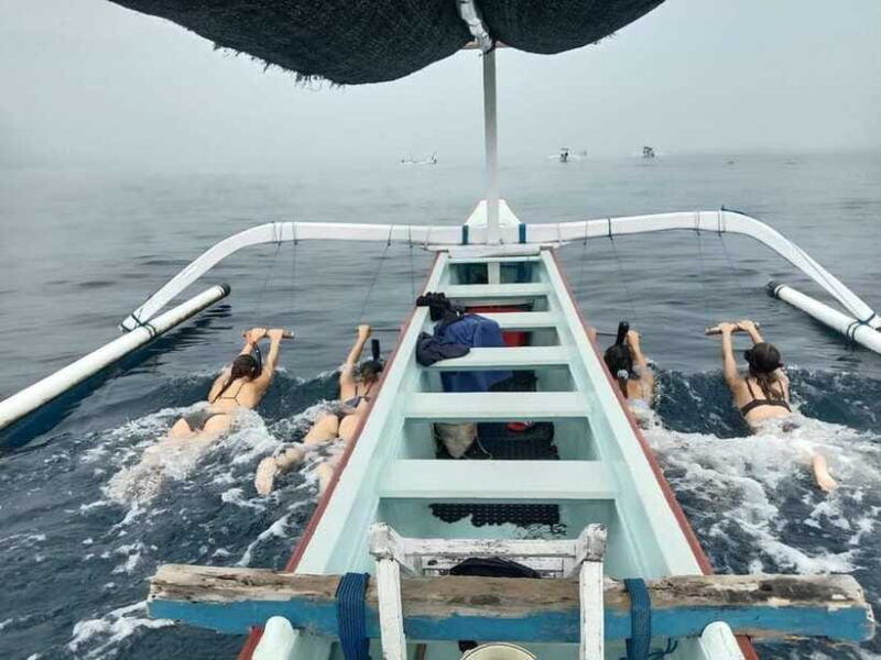 bali-lovina-dolphin-watching-and-snorkeling-tour
