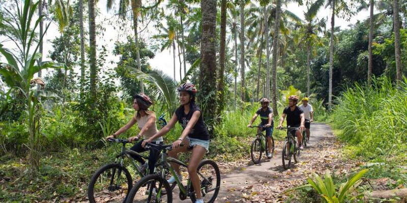 bali-mount-batur-mountain-biking-adventure-with-lunch