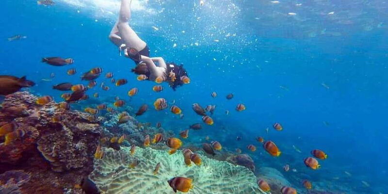 bali-nusa-penida-snorkeling-adventure-and-island-tour