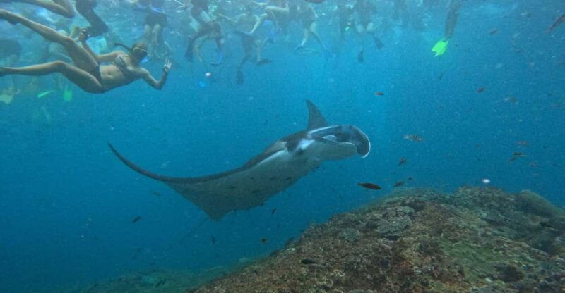 bali-nusa-penida-tour-with-lunch-manta-point-snorkeling