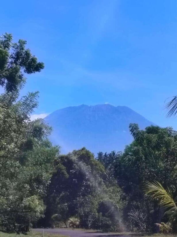 bali-private-customized-full-day-tour-with-driver