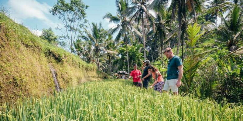 bali-rice-terraces-guided-hiking-experience
