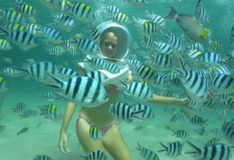 bali-sea-walker-experience-with-optional-sightseeing-tour