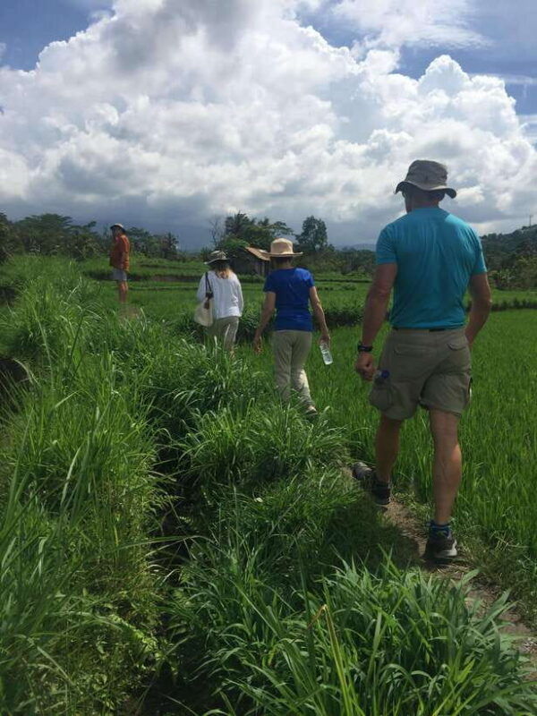 bali-sidemen-trekking-with-besakih-temple-tour-rafting