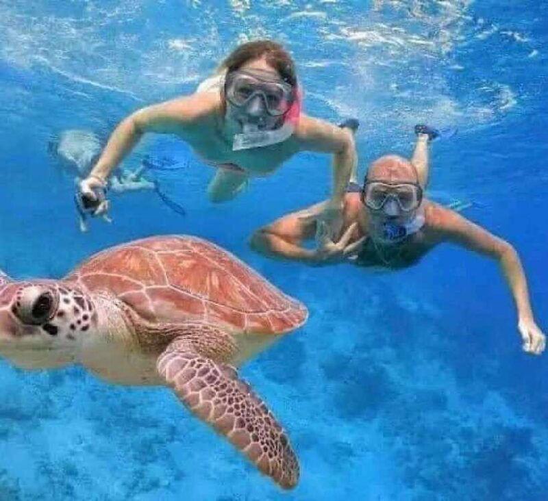bali-snorkeling-at-two-spots-with-lunch-and-transport
