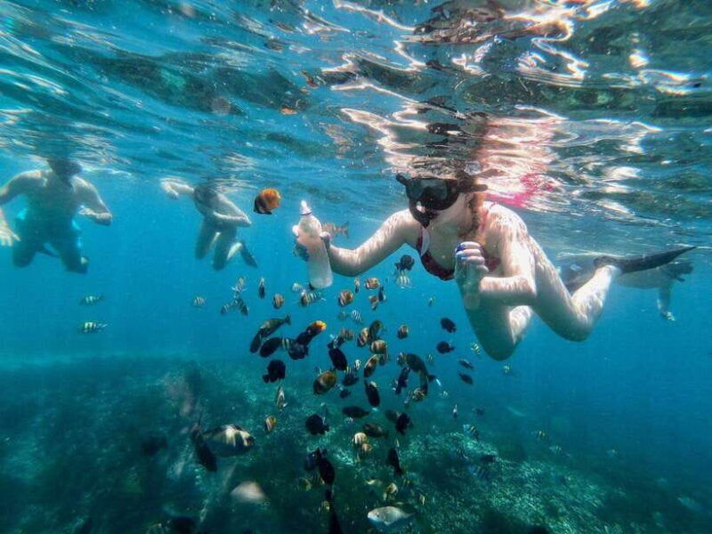 bali-snorkeling-blue-lagoon-and-tanjung-jepun-all-inclusive