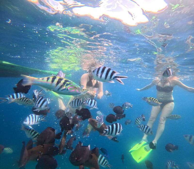 bali-snorkeling-experience-in-blue-lagoon-and-tanjung-jepun
