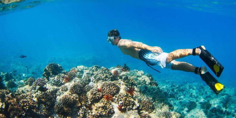 bali-snorkeling-on-2-spots-with-lunch-and-transport