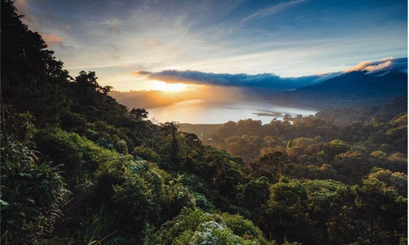 bali-twin-lakes-handara-gates-and-forest-trekking-tour