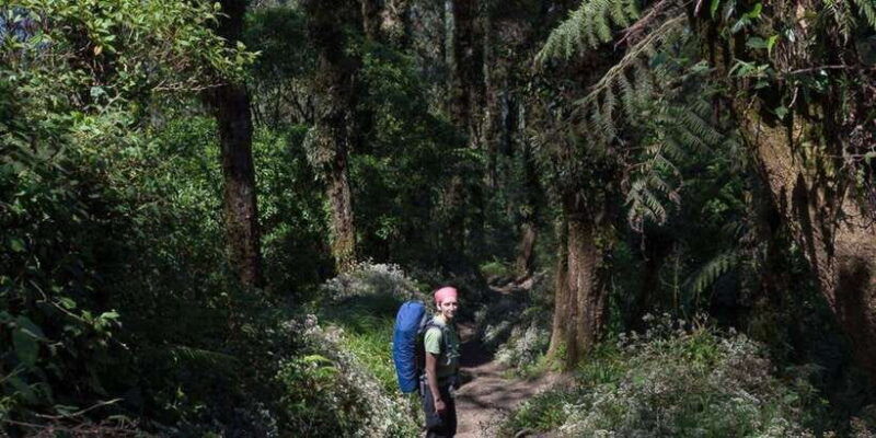 balis-mount-abang-expedition-guided-hike