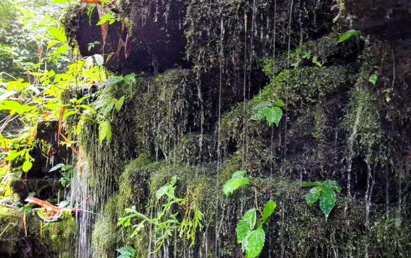 balis-mystical-jungle-trek-hidden-waterfall-adventure