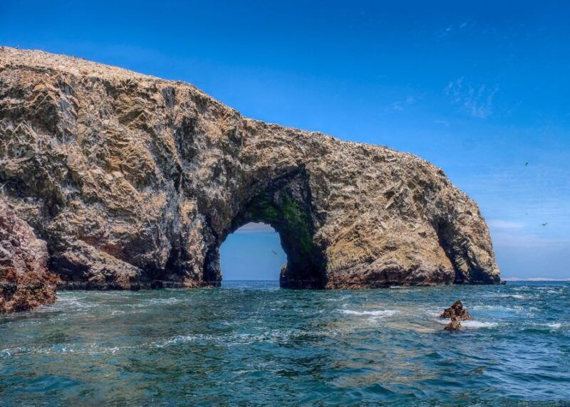 ballestas-islands-and-huacachina-oasis-half-day-tour